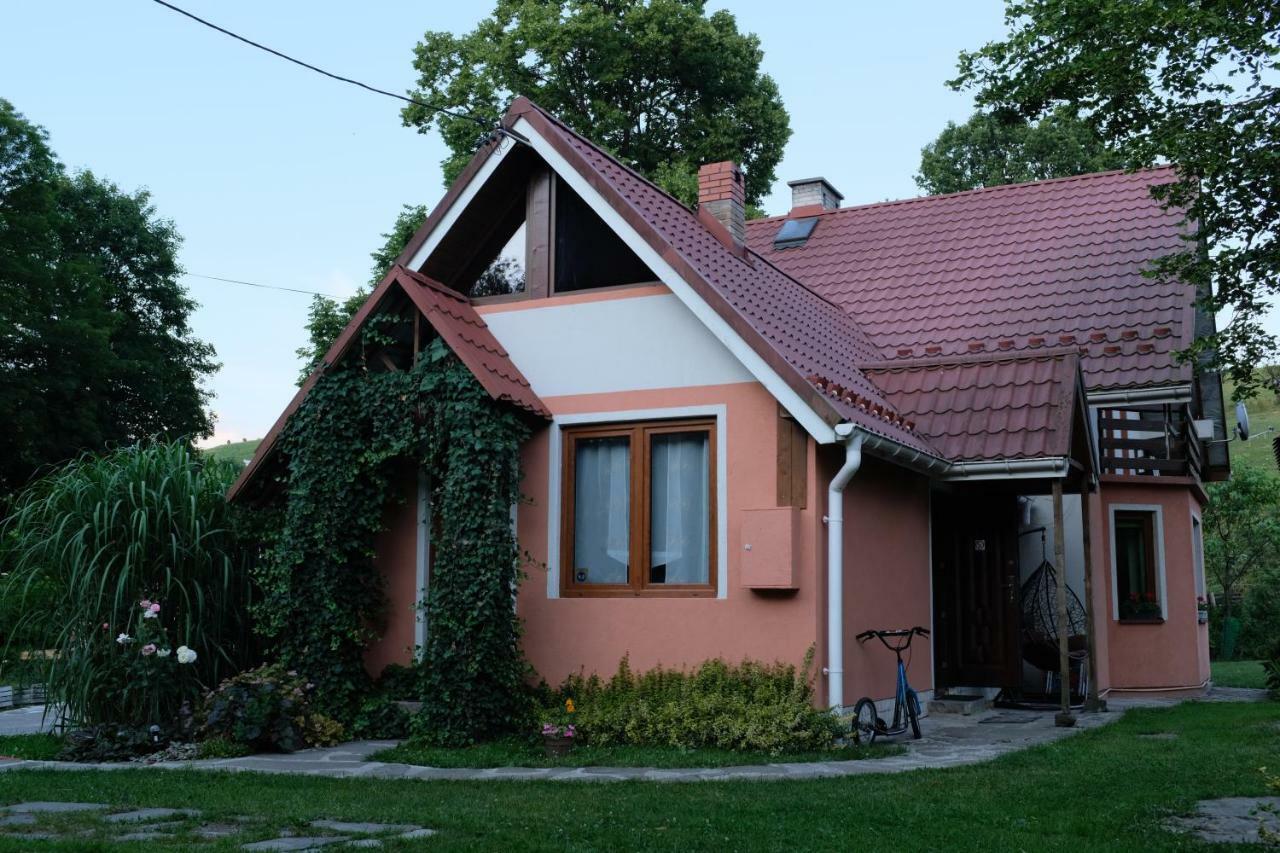 Rodzinny Domek Apartament Wisloczek Kültér fotó